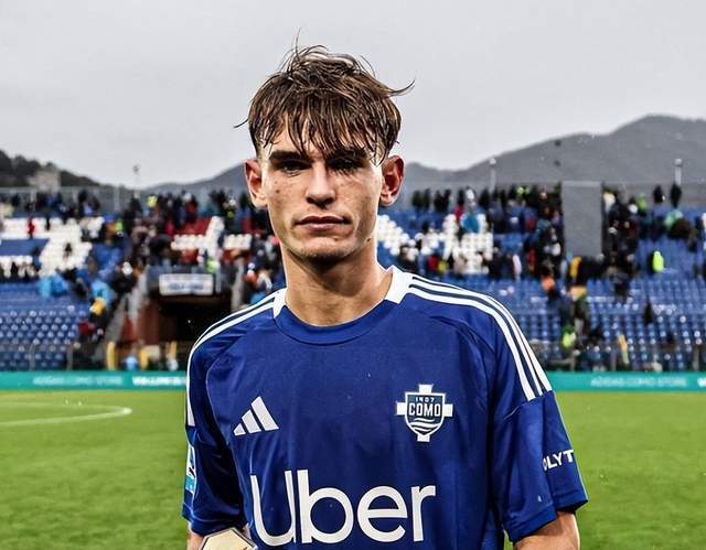 意的案例是 意的案例是