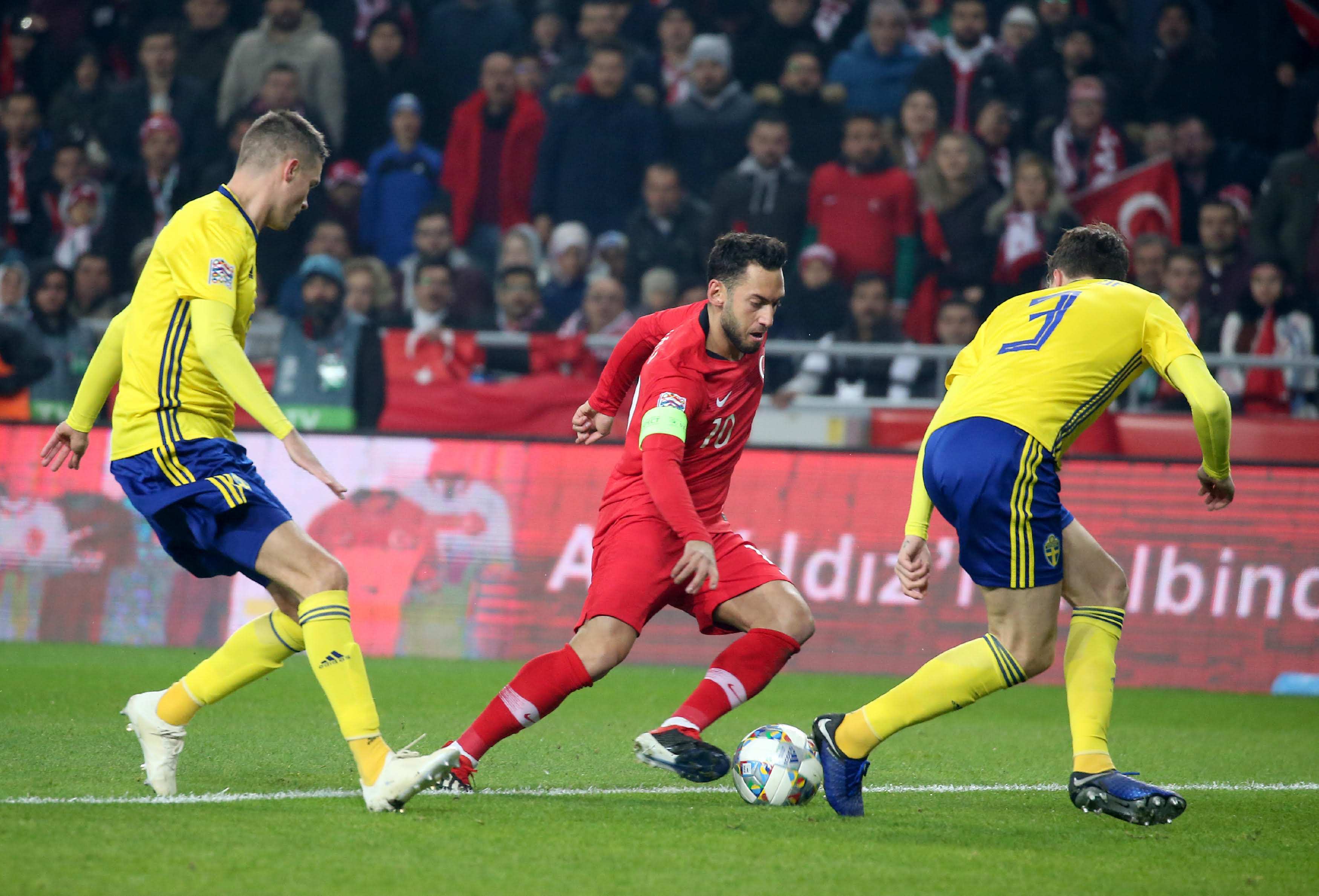 森林狼的系 森林狼的系